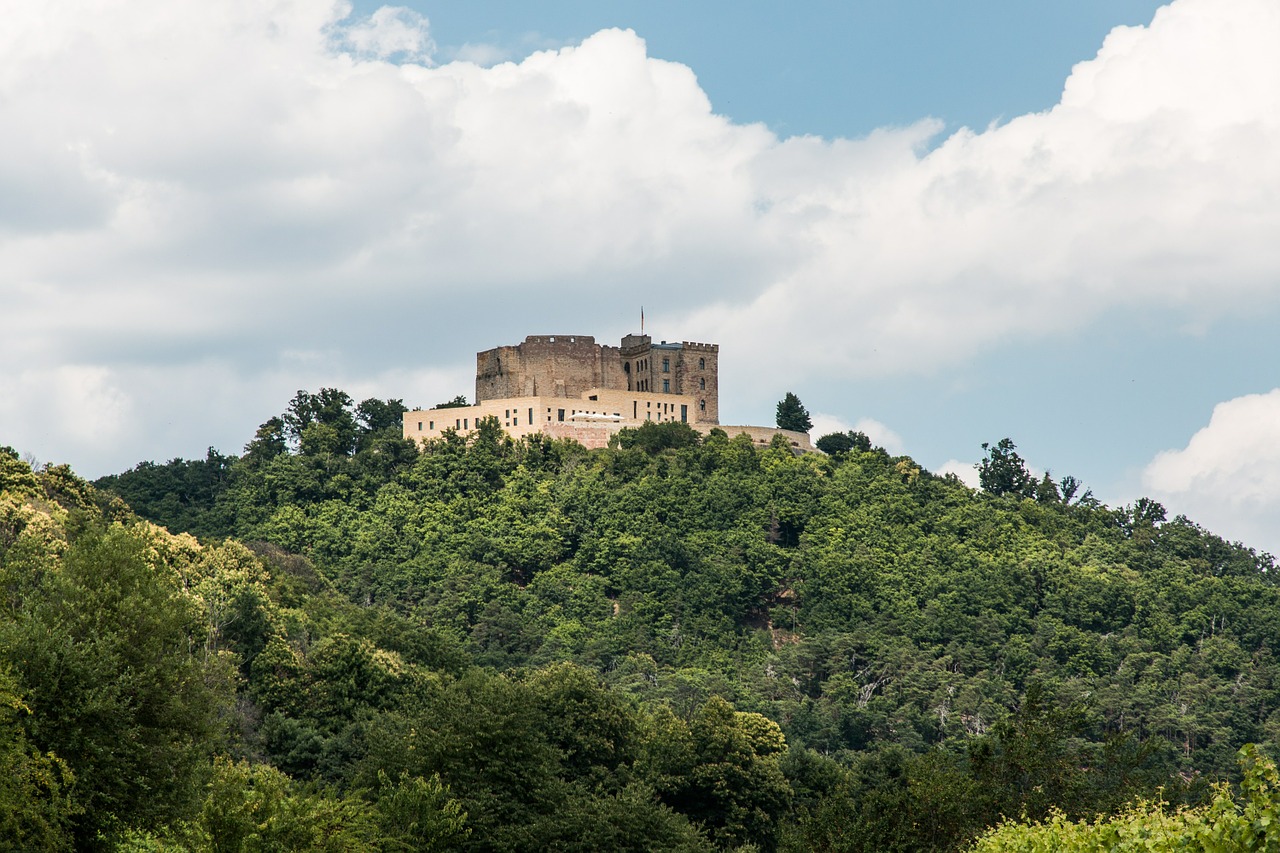 hambach castle castle maik bunting free photo