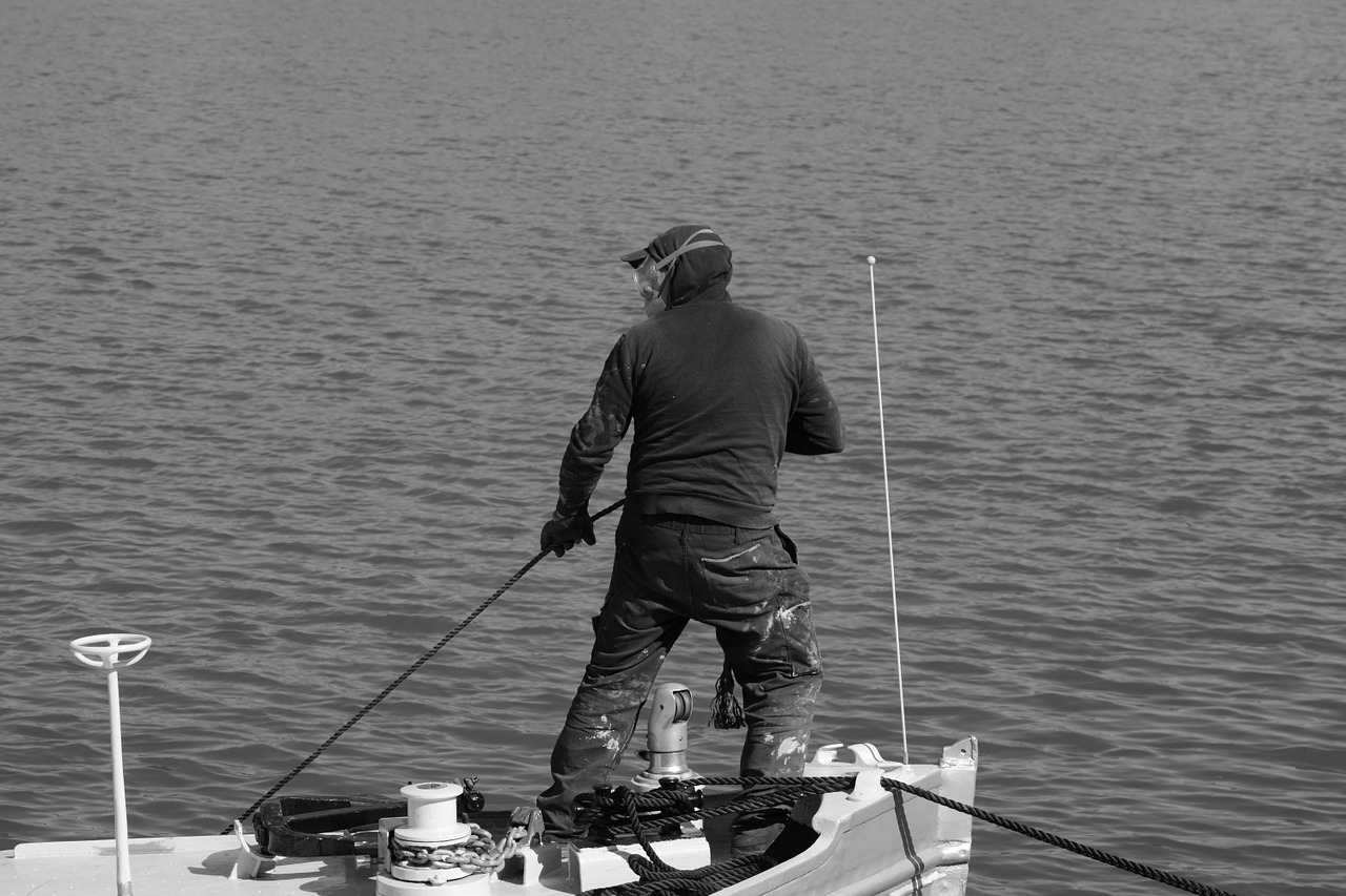 hamburg port workers free photo