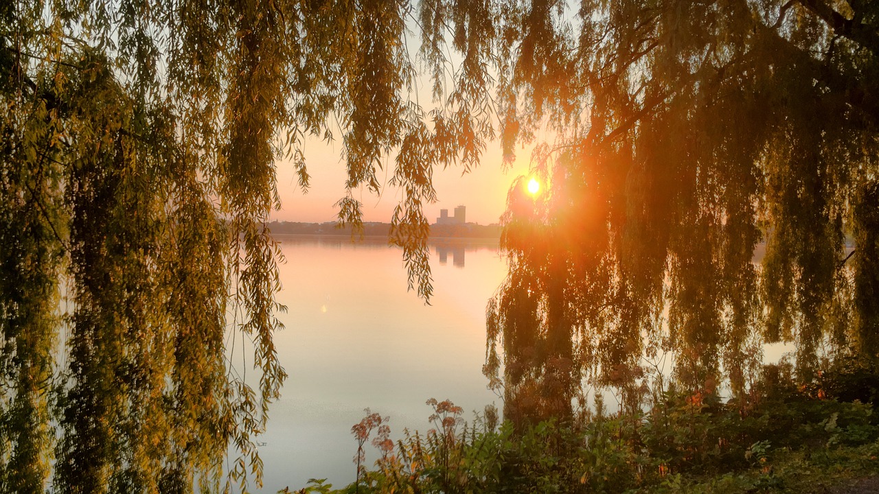 hamburg  alster  sunrise free photo