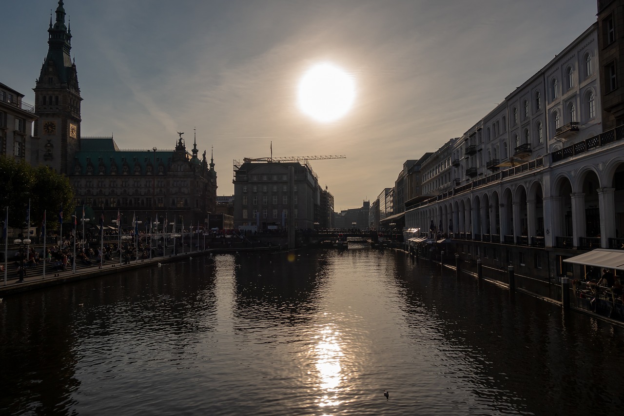 hamburg  town hall  sunset free photo