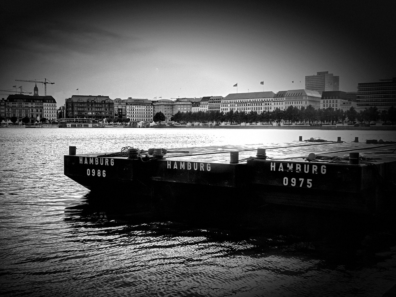 hamburg alster black and white free photo