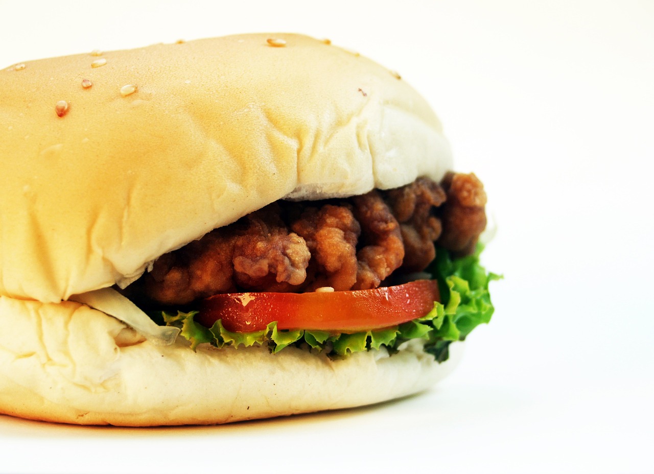 hamburger burger bun free photo
