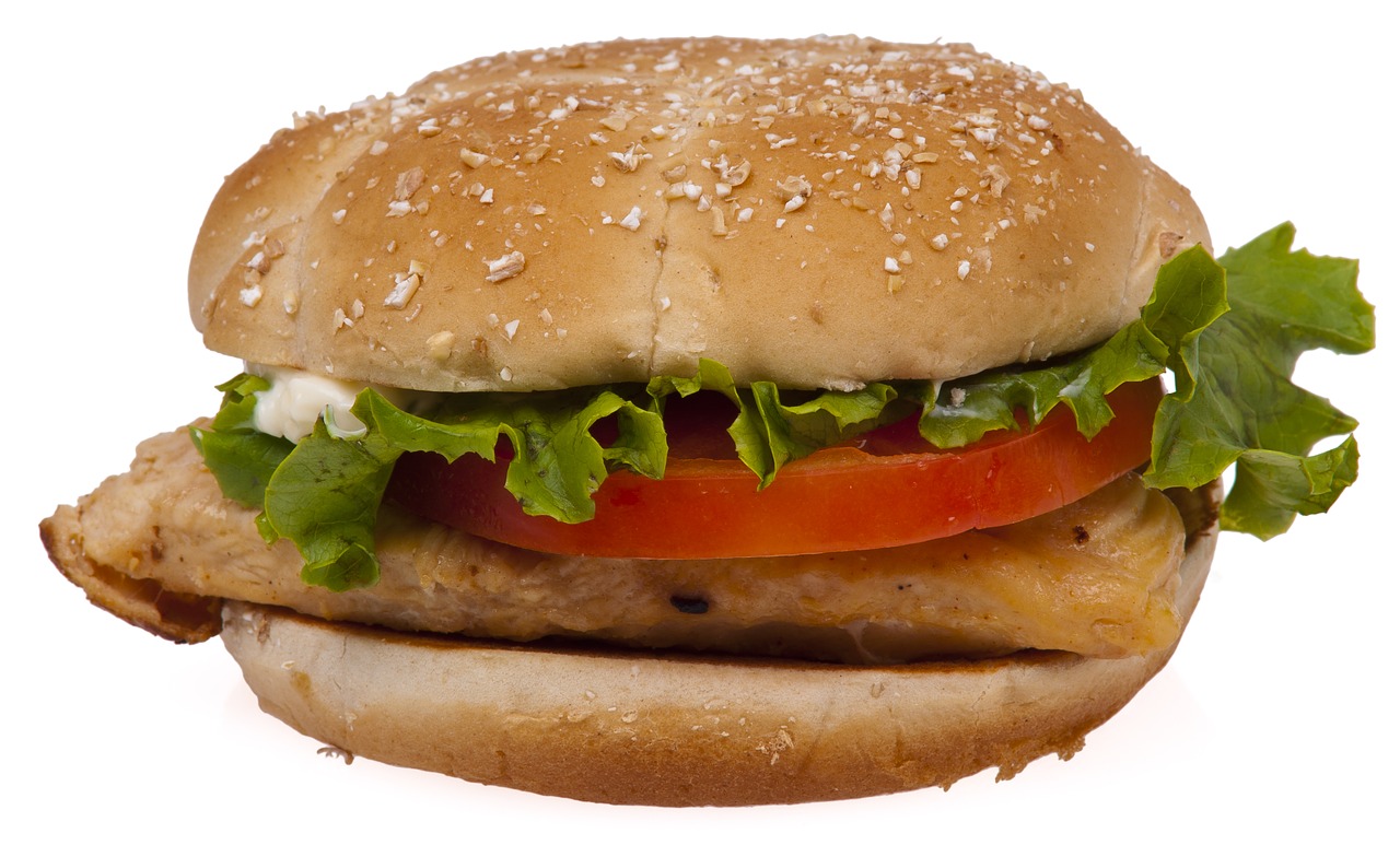 hamburger burger fast food free photo