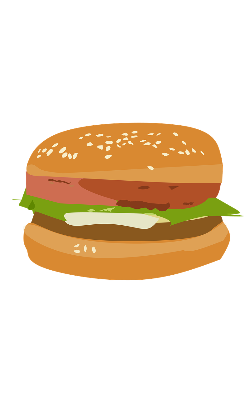 hamburger sandwich life free photo
