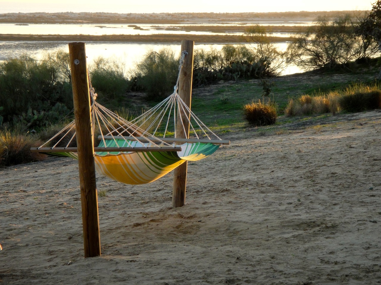 hammock beach biotope free photo