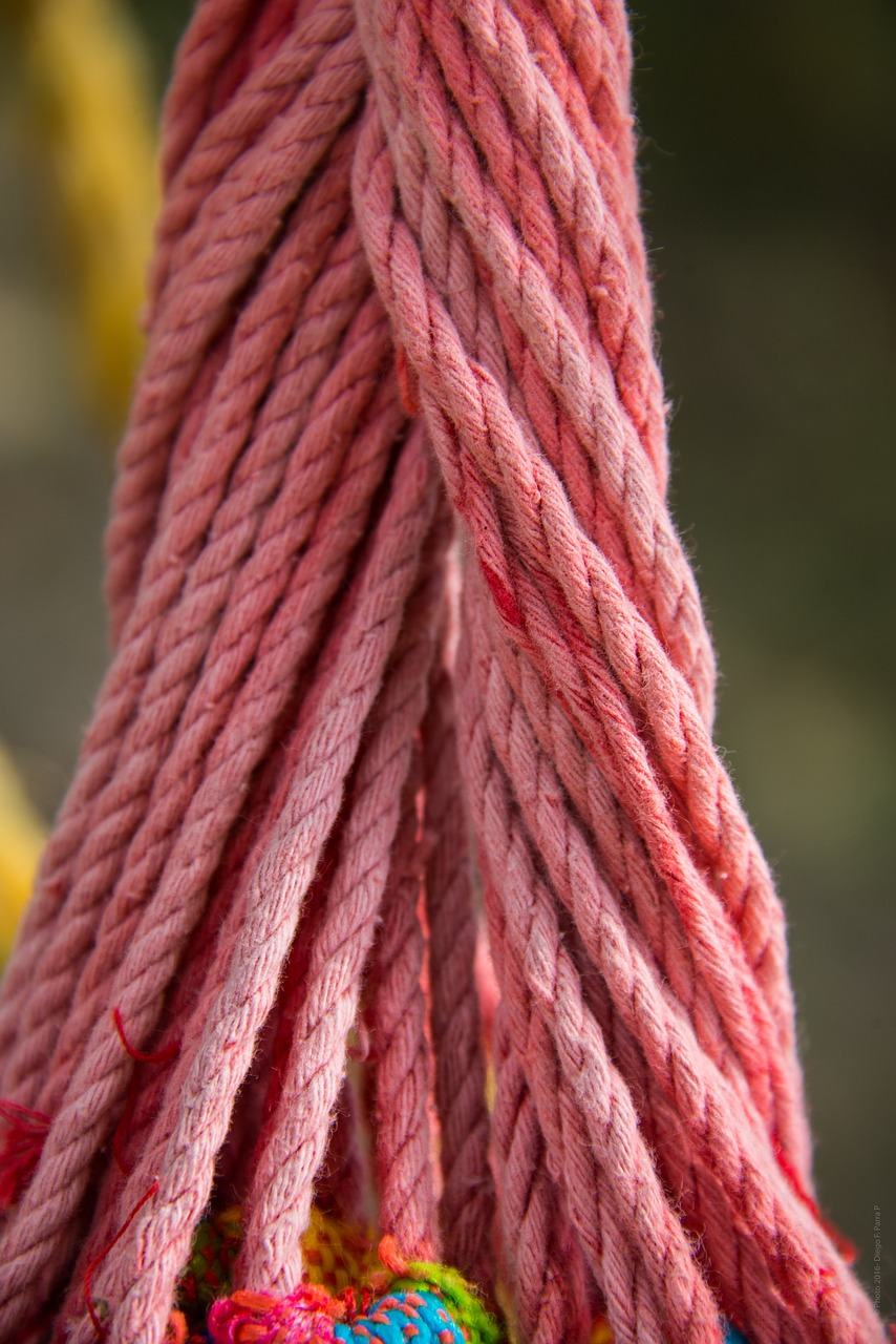 hammock tie rope free photo