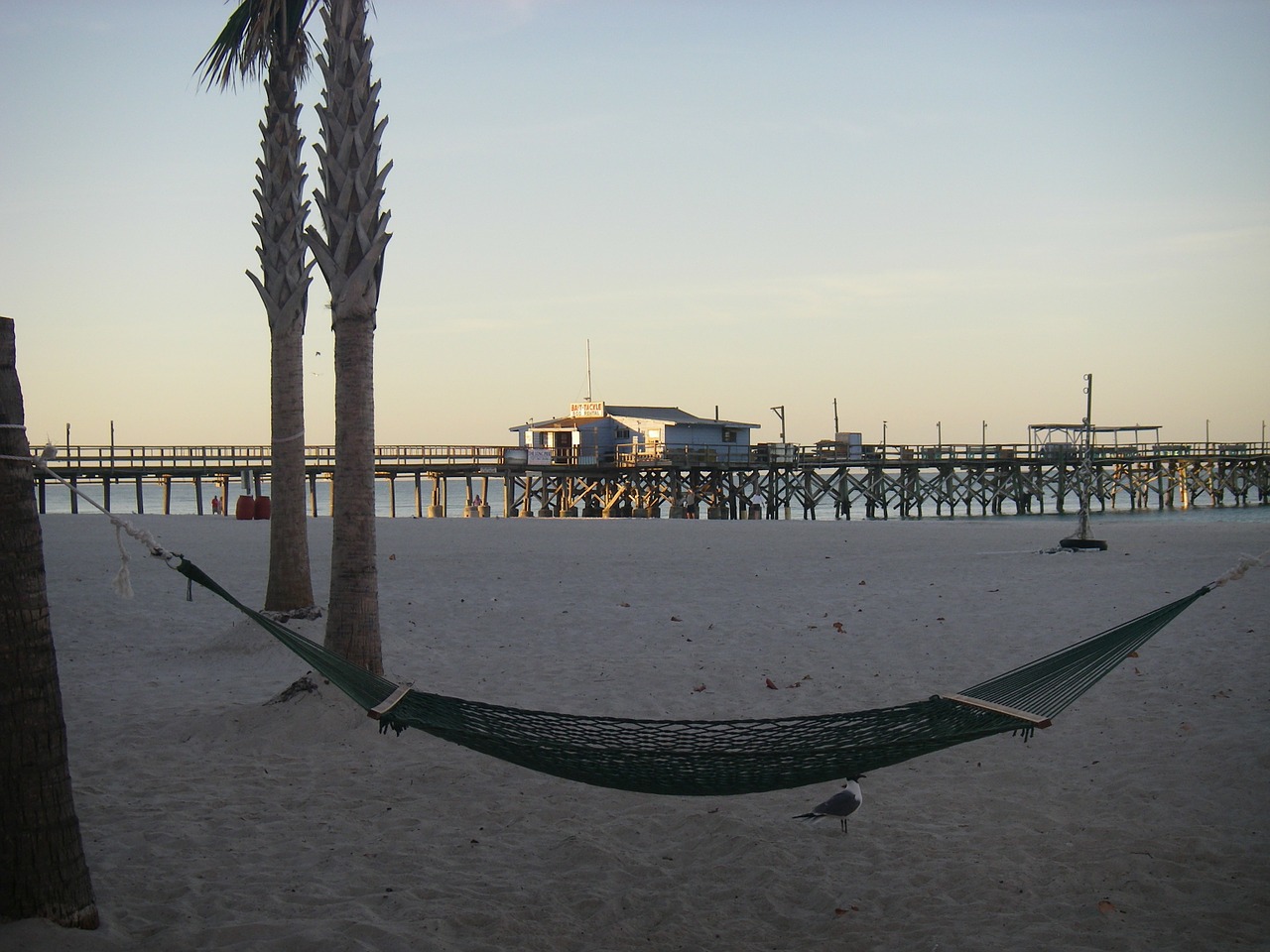hammock beach florida free photo