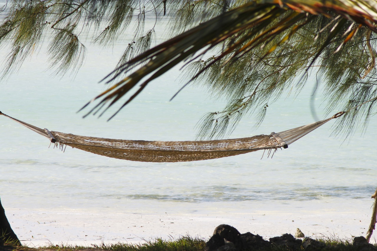 hammock zanzibar holiday free photo