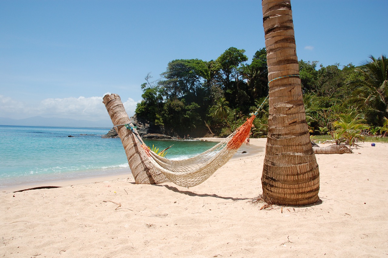 hammock  sea  relaxation free photo