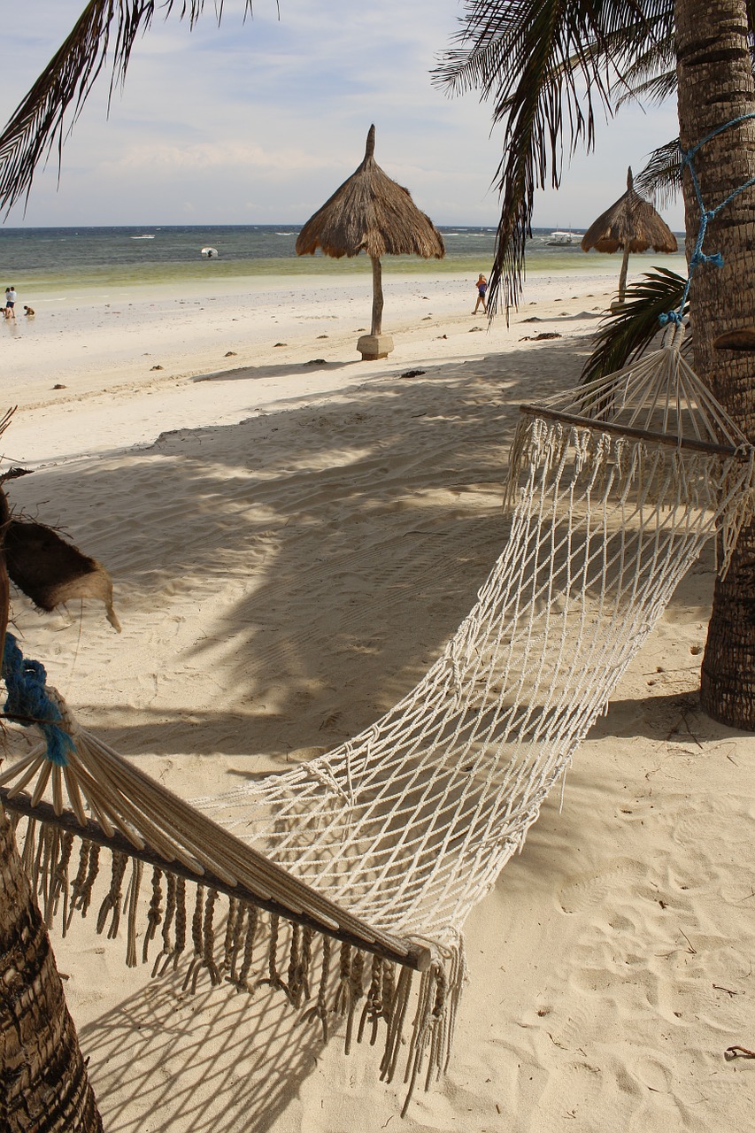 hammock beach sea free photo