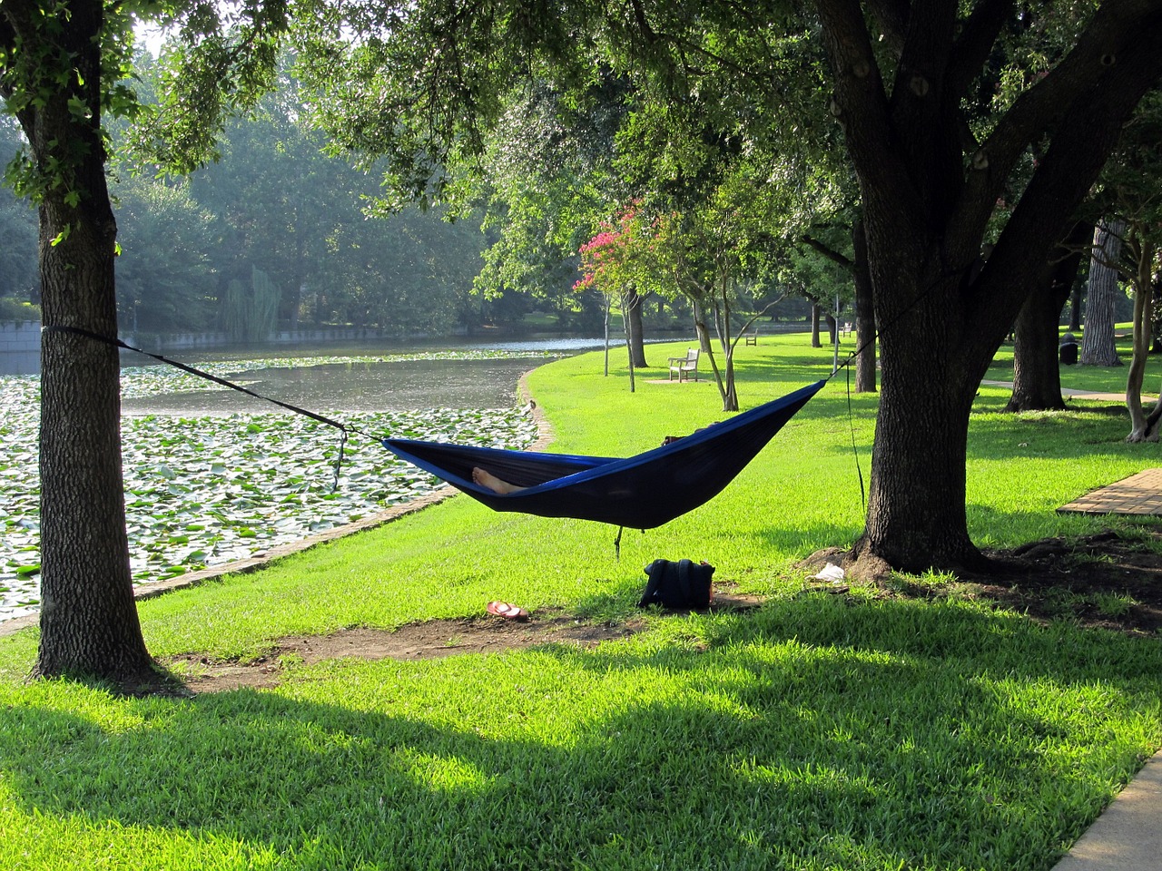 hammock creek napping free photo