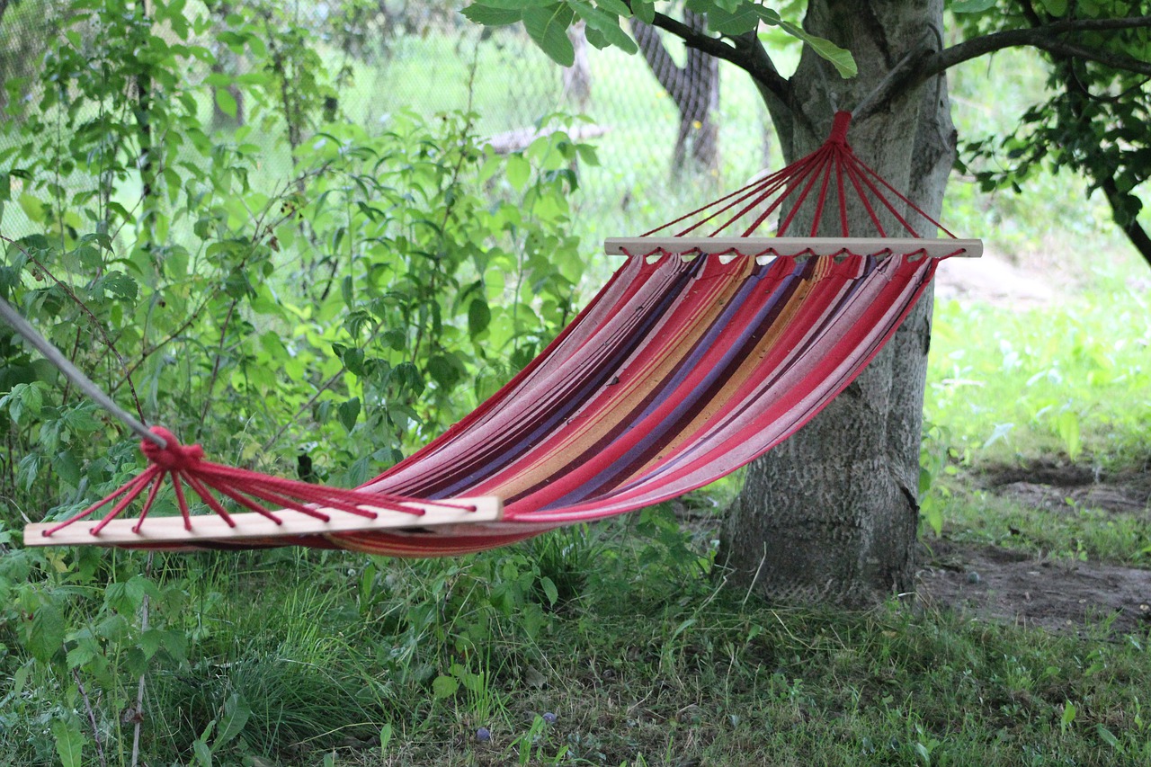 hammock  relaxation  swing free photo