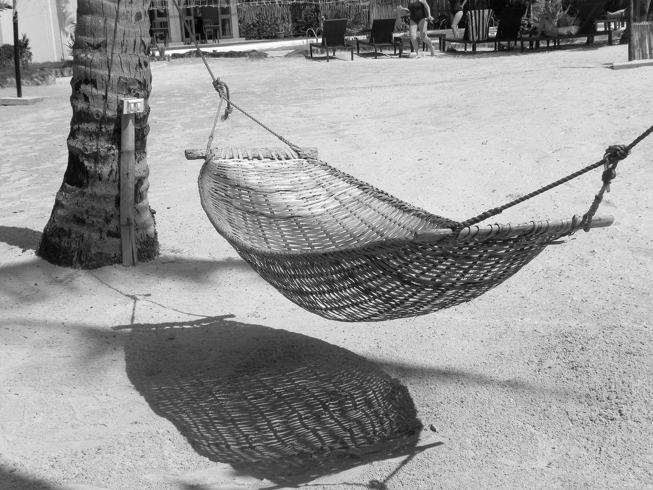 hammock sand beach free photo