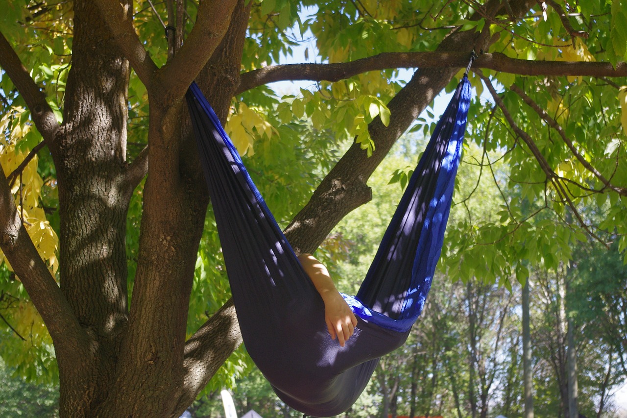 hammock relax tree free photo