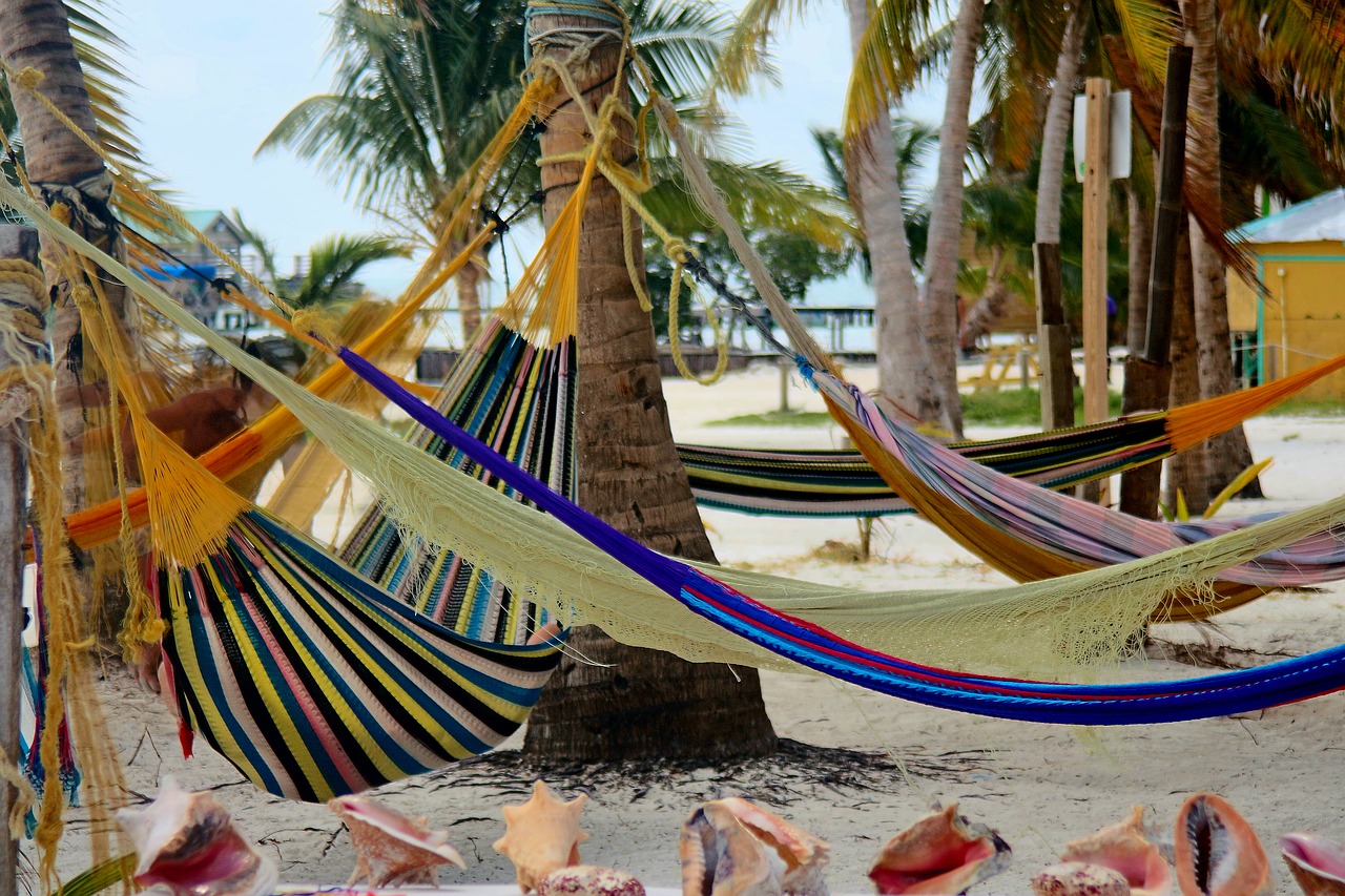 hammocks  belize  caye caulker free photo