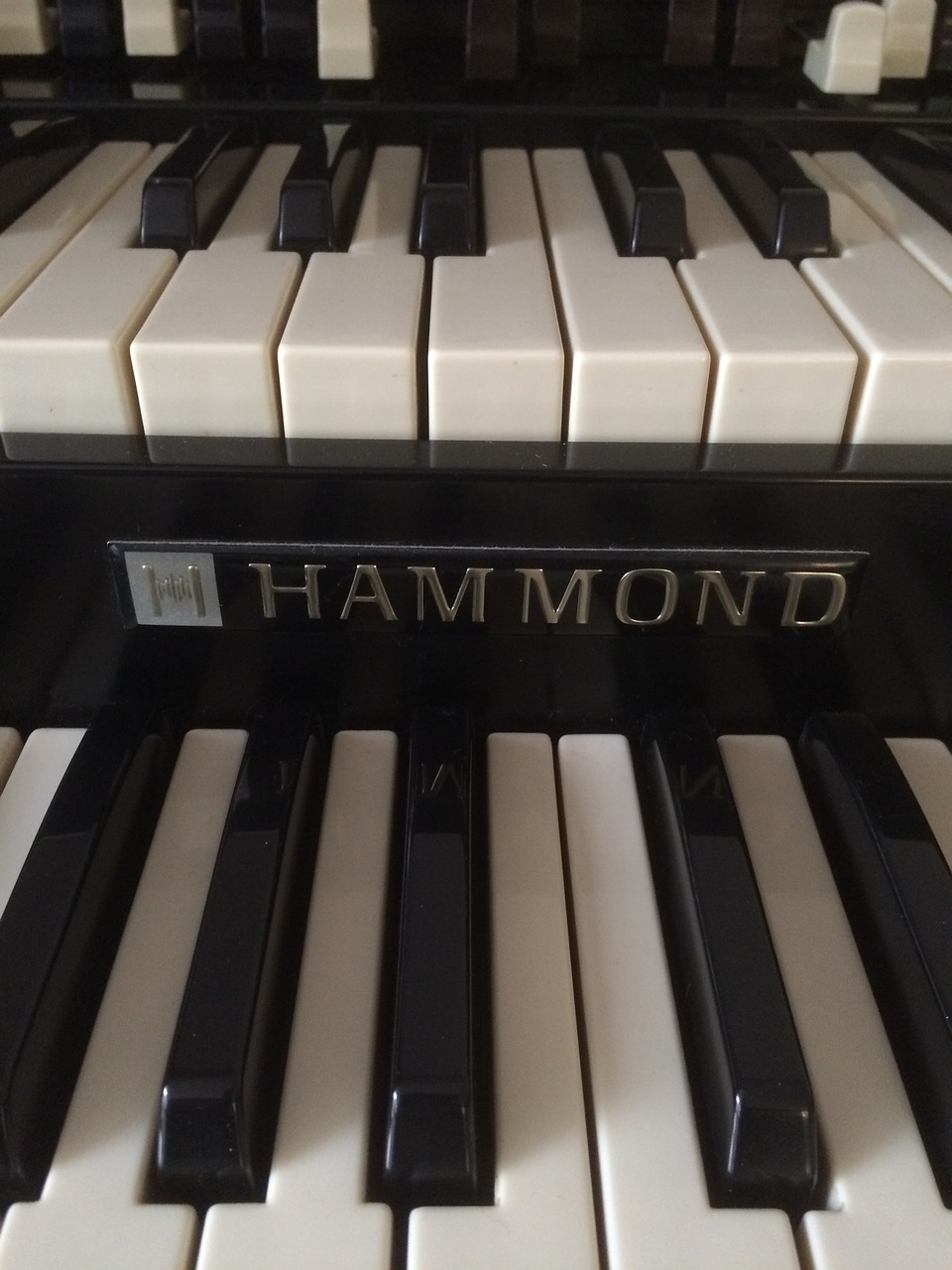 hammond organ keys free photo
