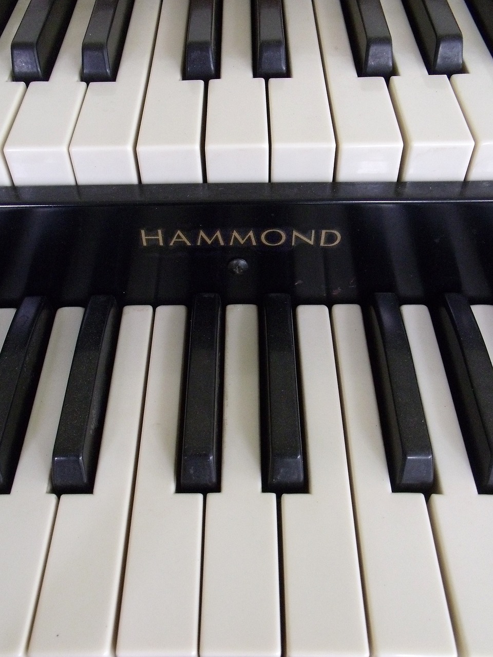 hammond organ music free photo