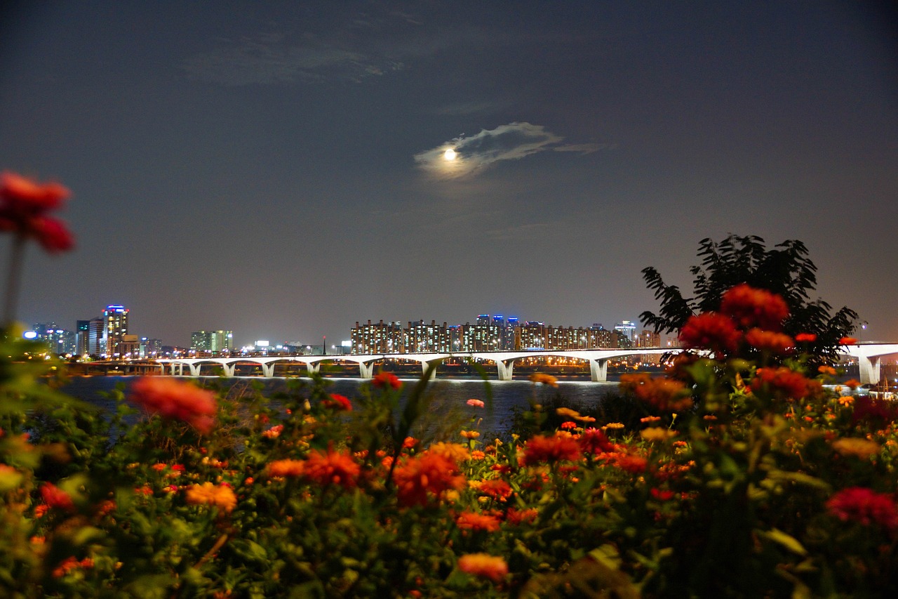 han river night view autumn free photo