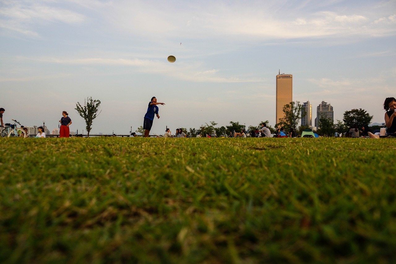 han river play autumn free photo