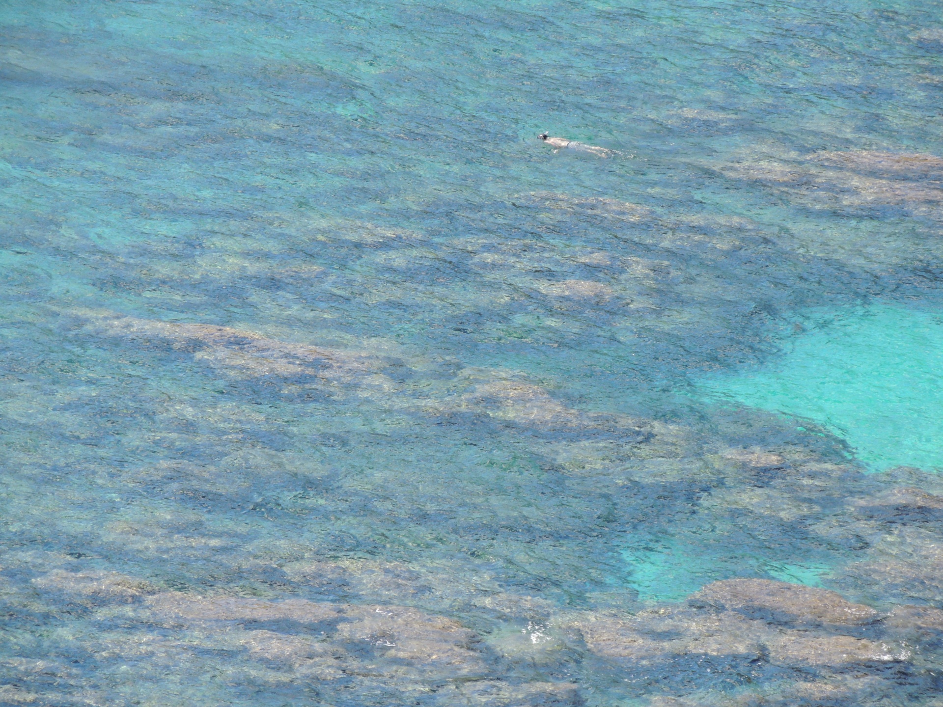 hanauma bay hawaii free photo