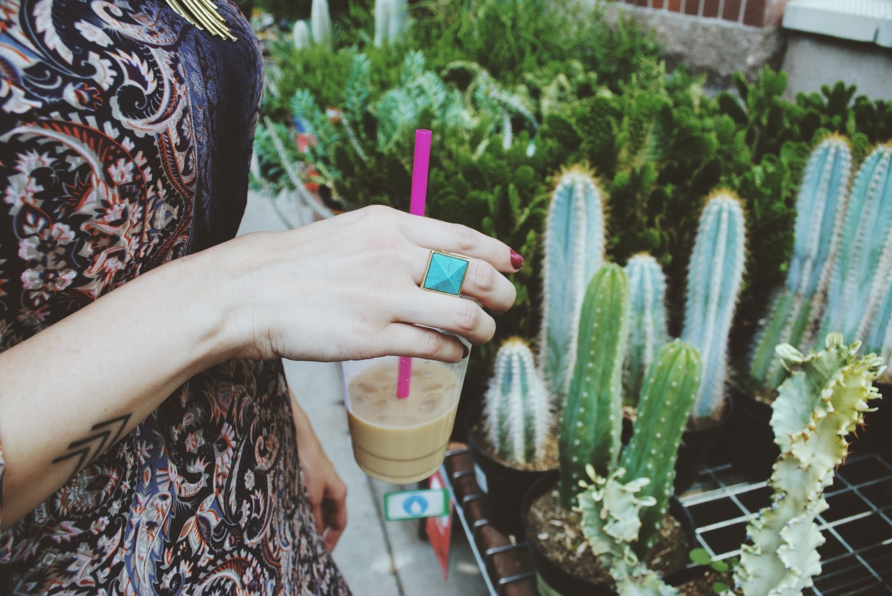 coffee cactus hand free photo