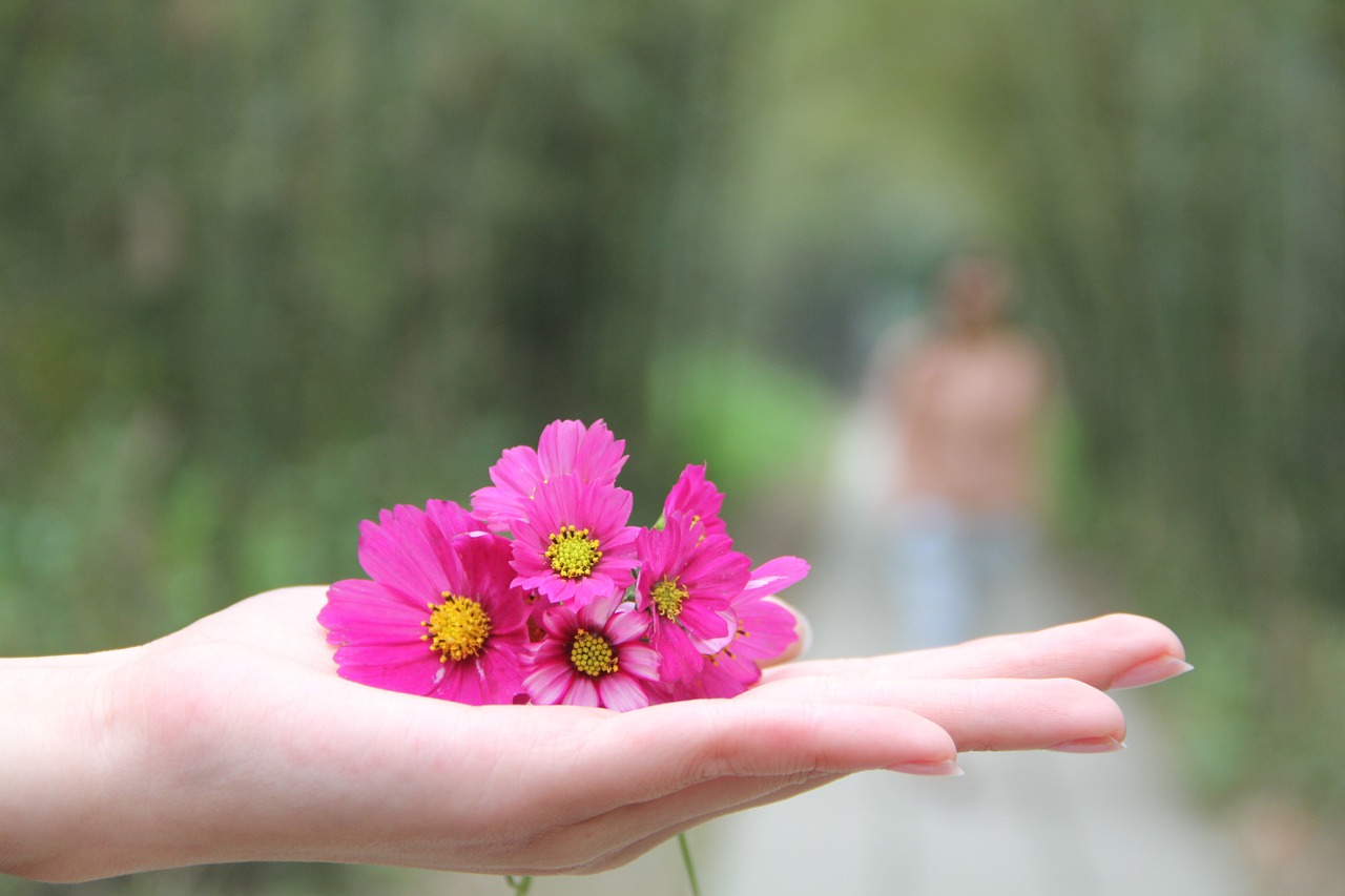 hand finger wild flowers free photo