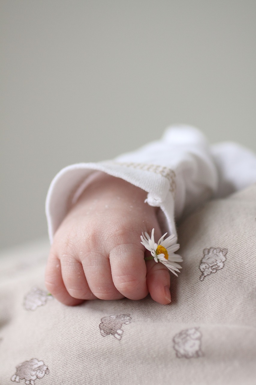 hand baby small free photo