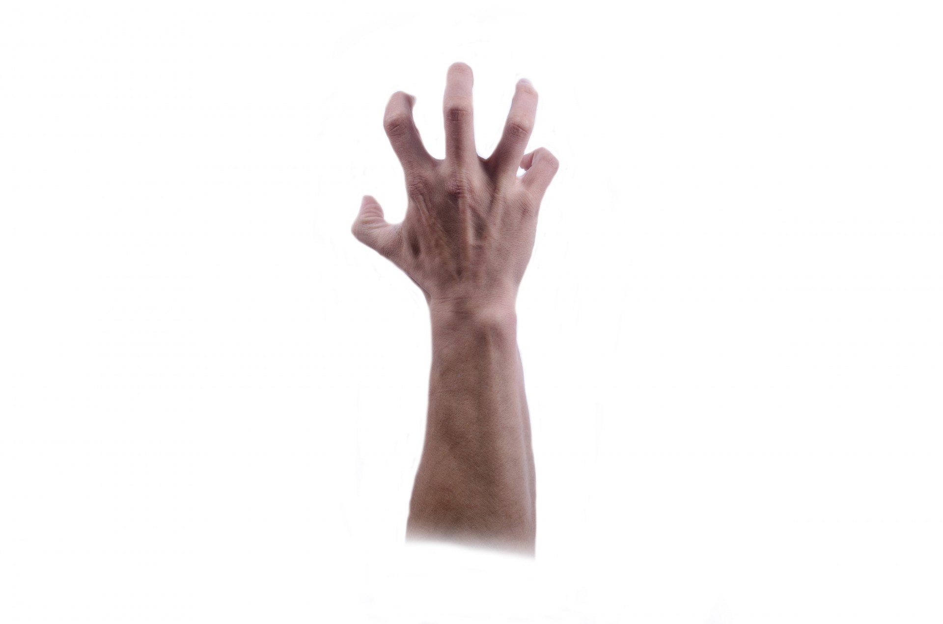 hand isolated human free photo