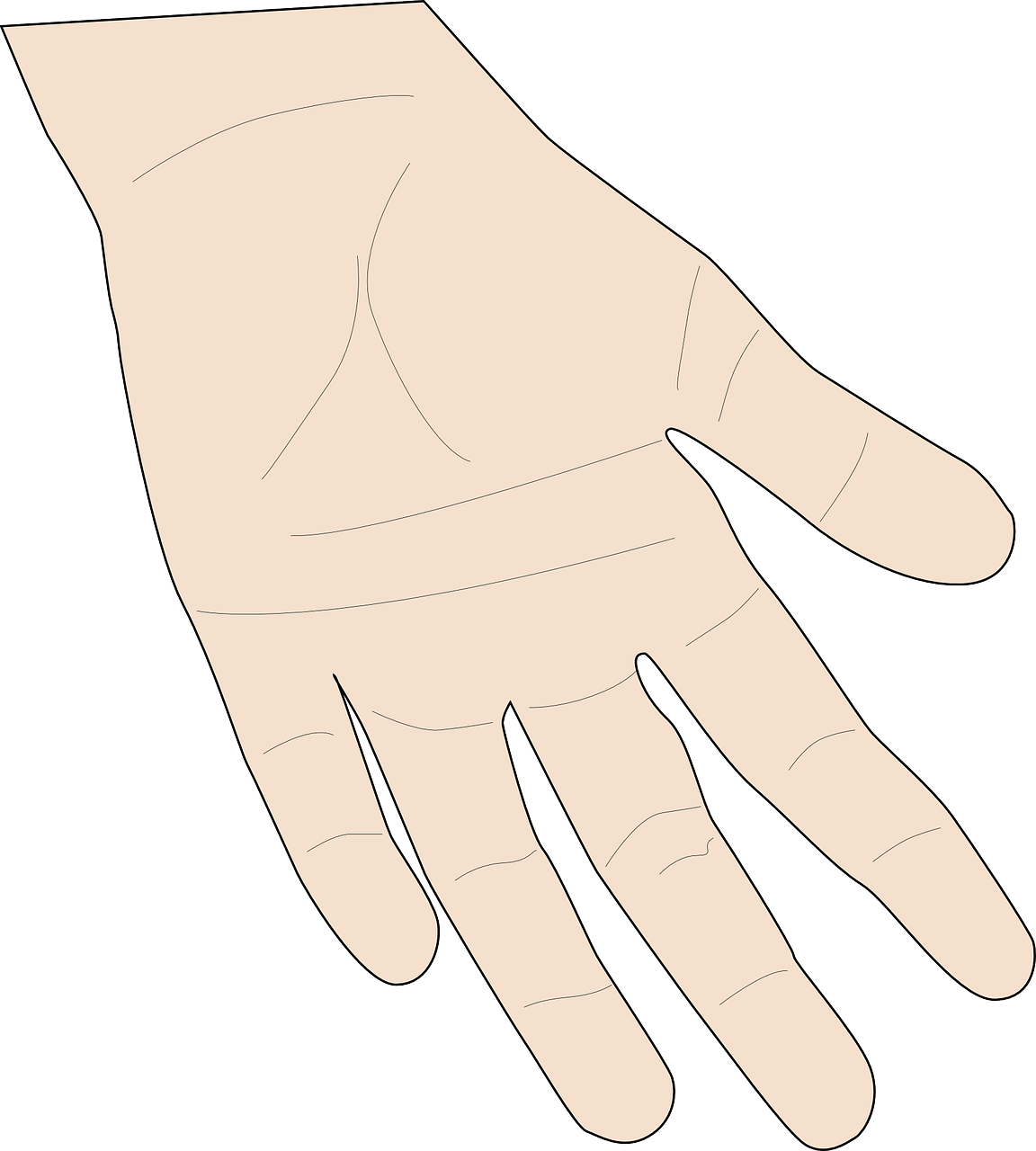 hand person skin free photo