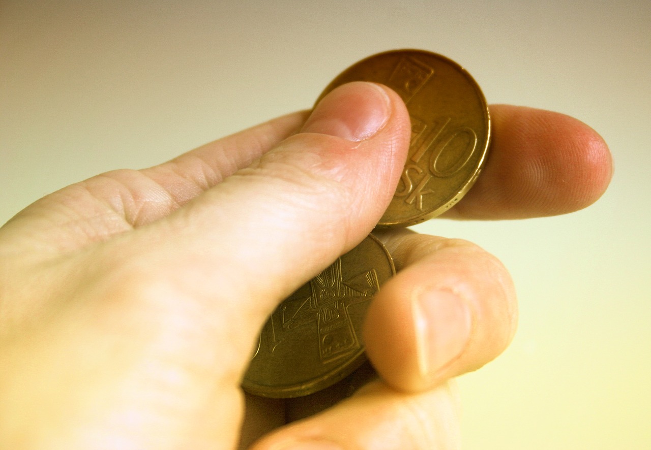 hand old coins slovakia free photo