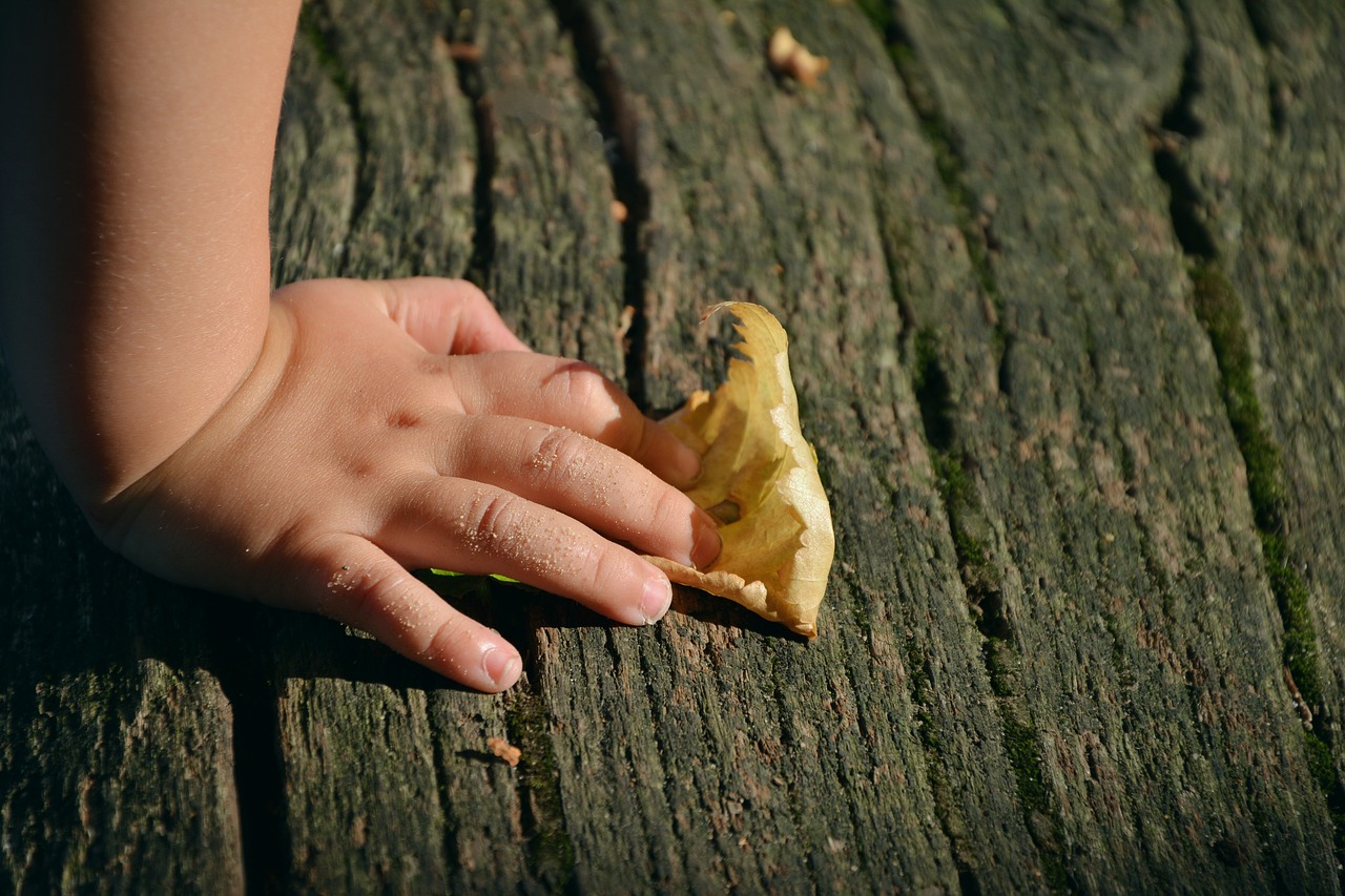 hand child's hand access free photo