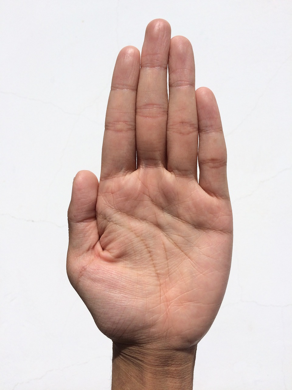 palm hand finger free photo