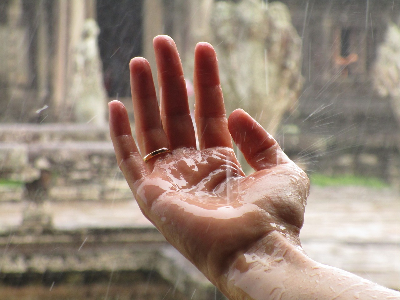 hand rain zen free photo