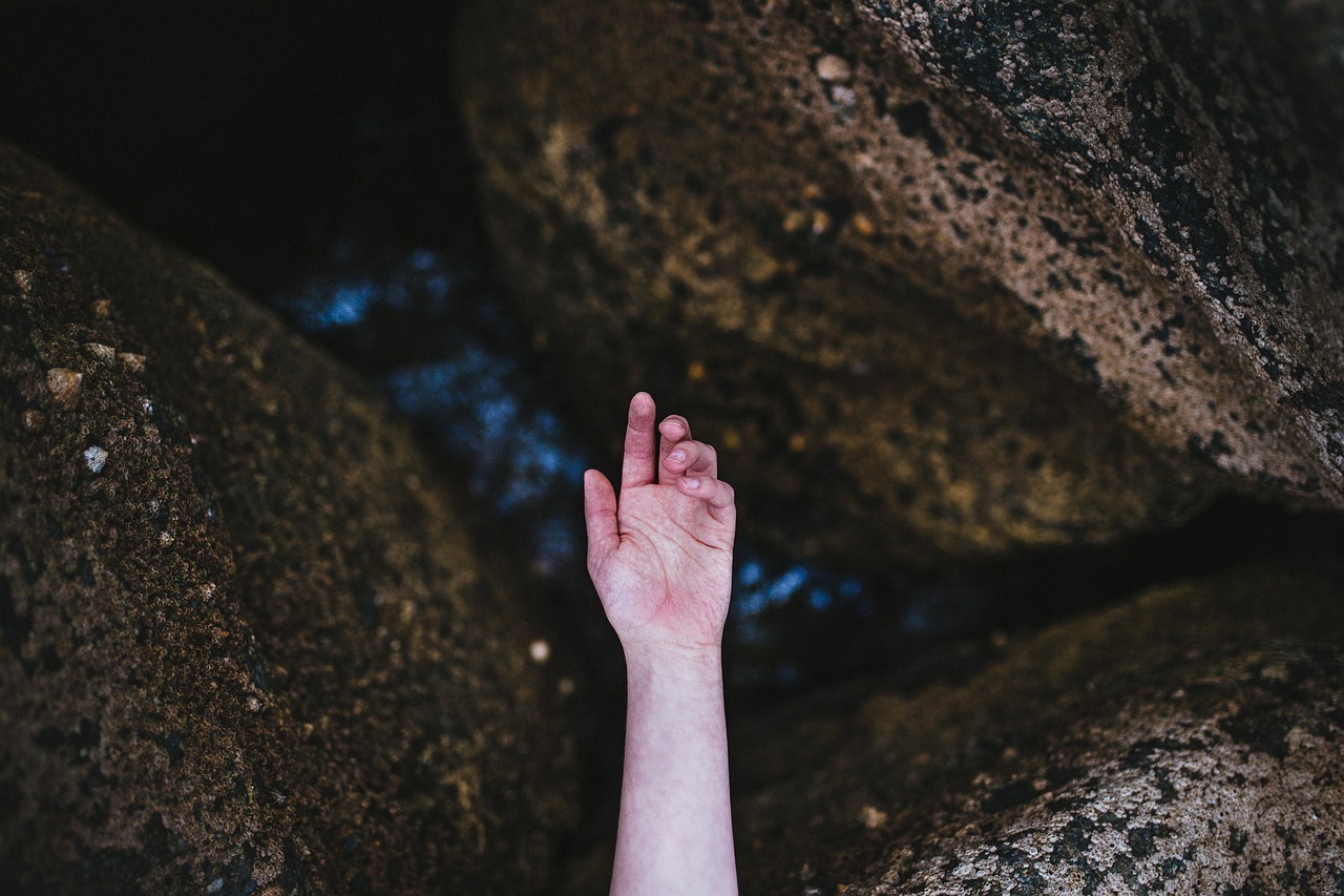 hand nature outdoors free photo