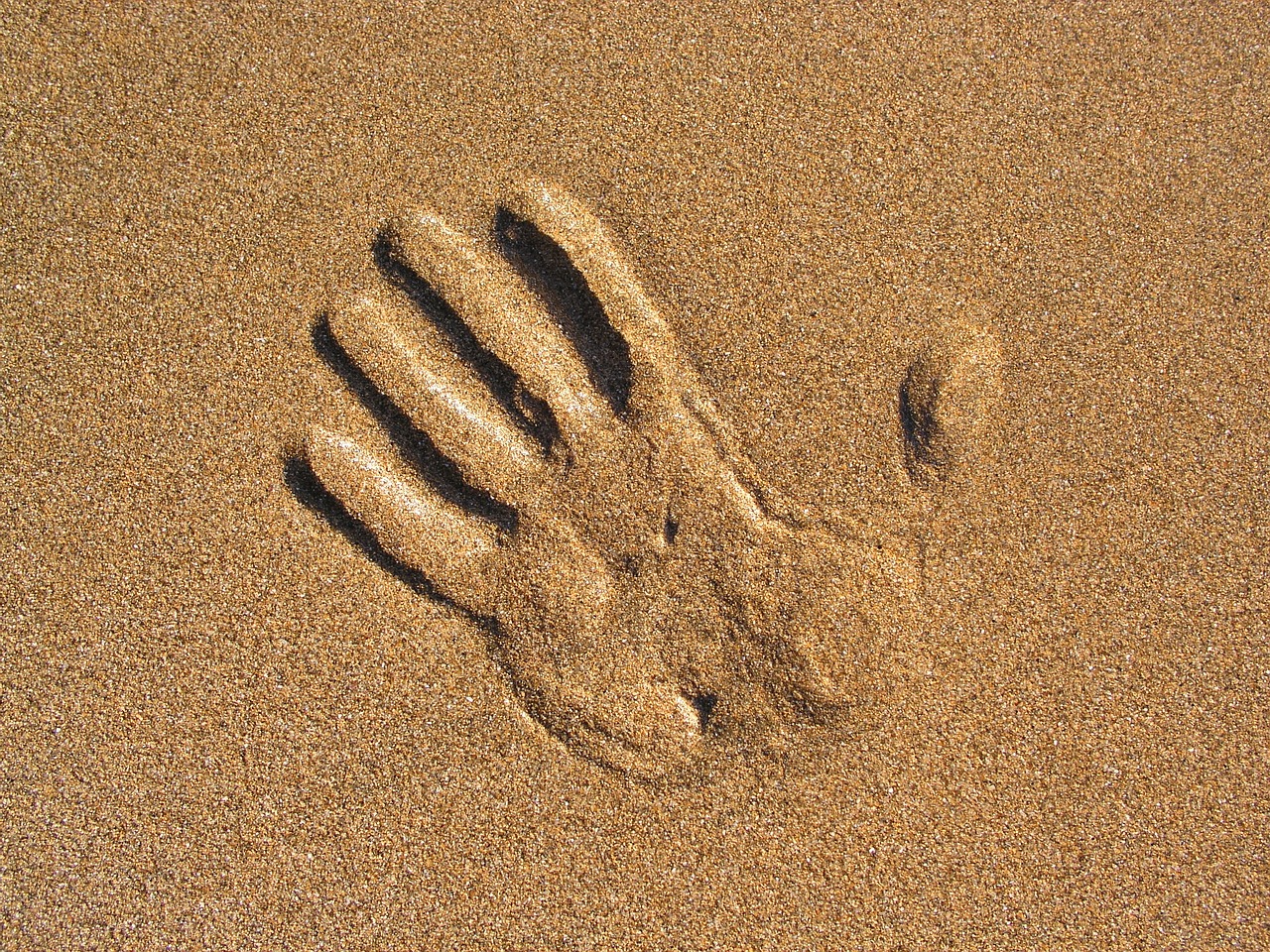 hand sand beach free photo