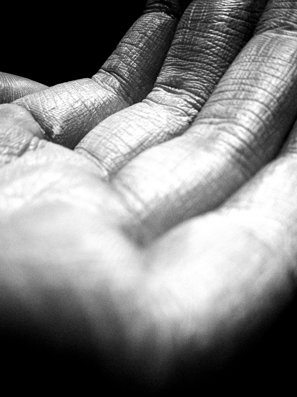 hand wrinkles lines free photo