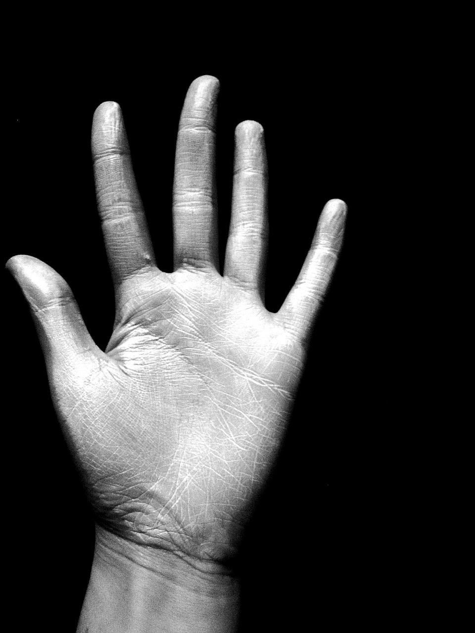 hand black and white fingers free photo