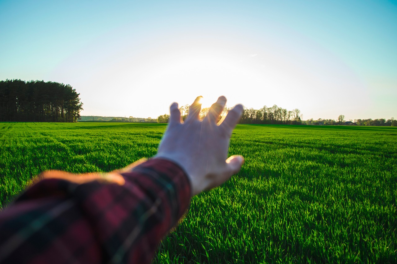 hand arm palm free photo