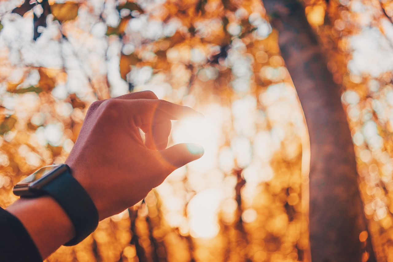 hand watch sunlight free photo