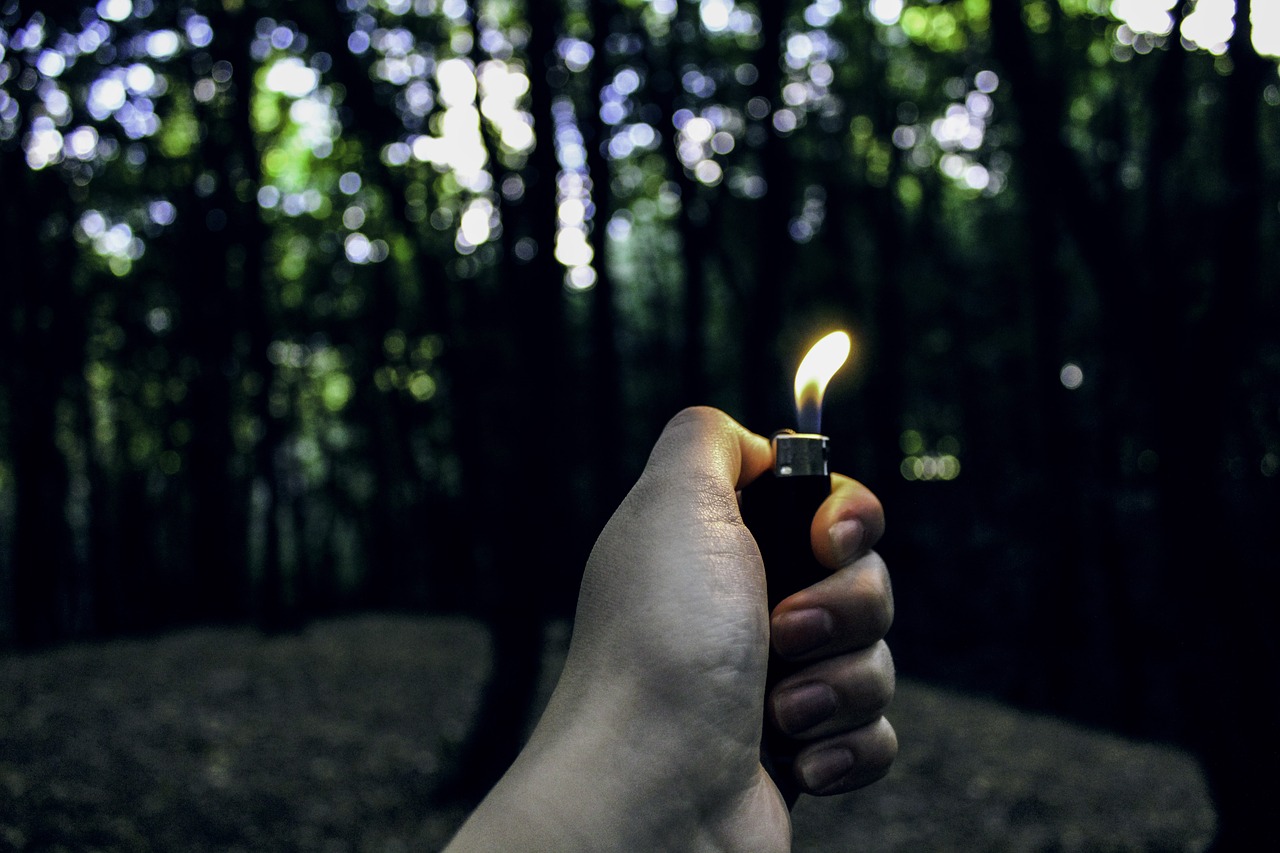 hand forest lighter free photo