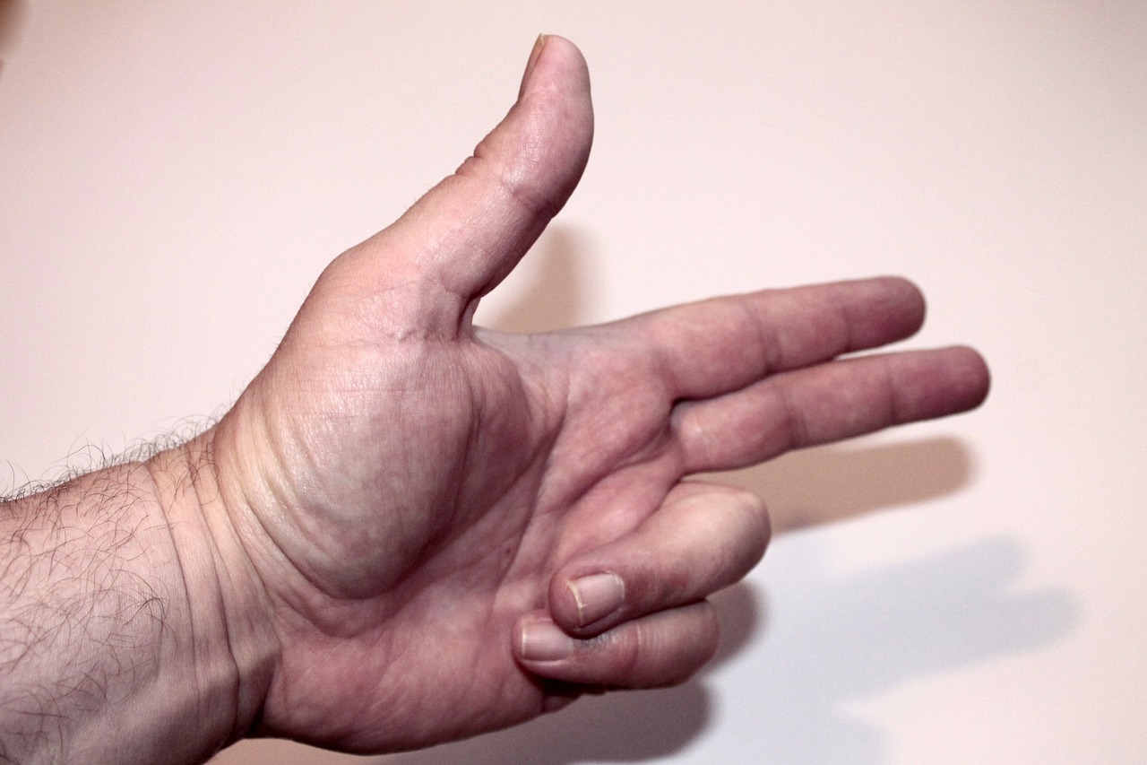 hand gesture hand signals free photo