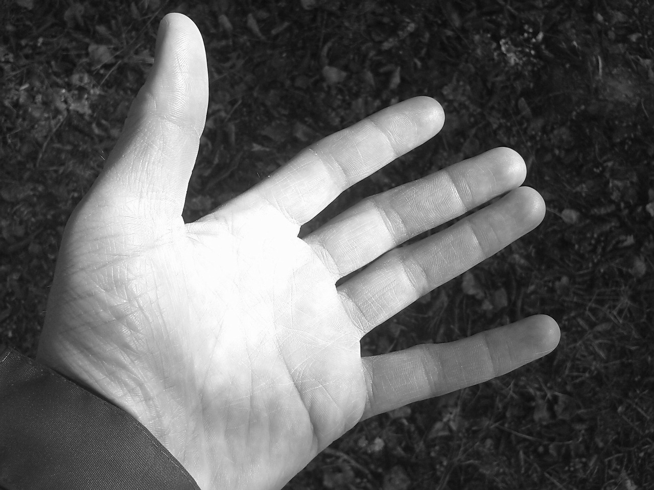 hand finger human free photo