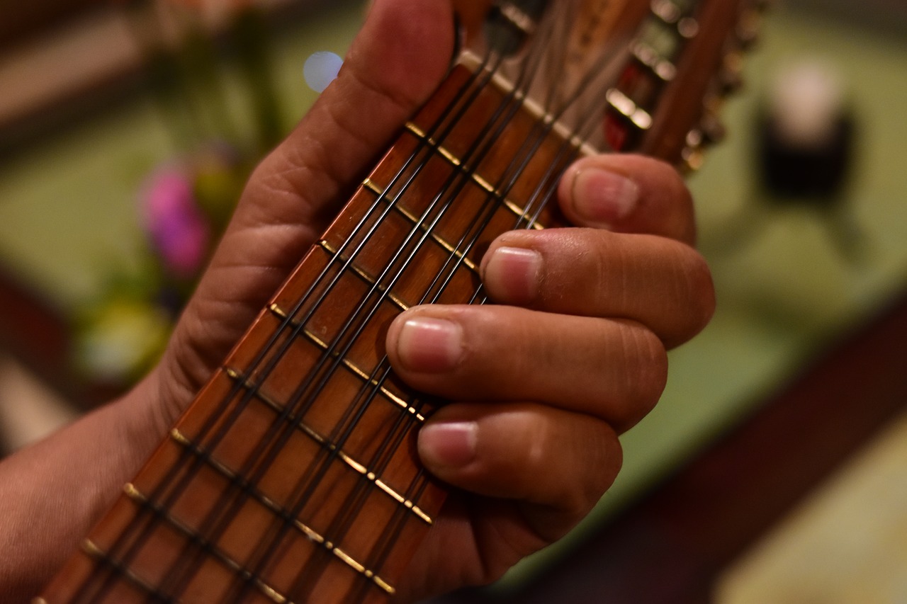 hand wood guitar free photo