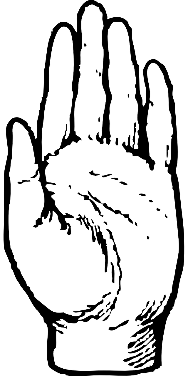 hand left palm free photo
