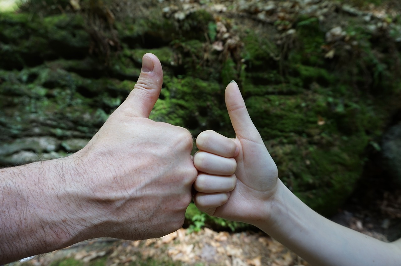 hand  farewell  welcome free photo