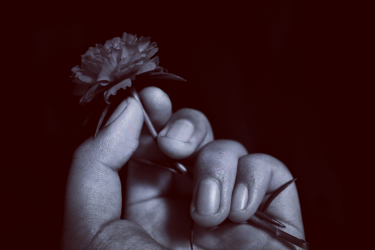 hand  flowers  girl free photo