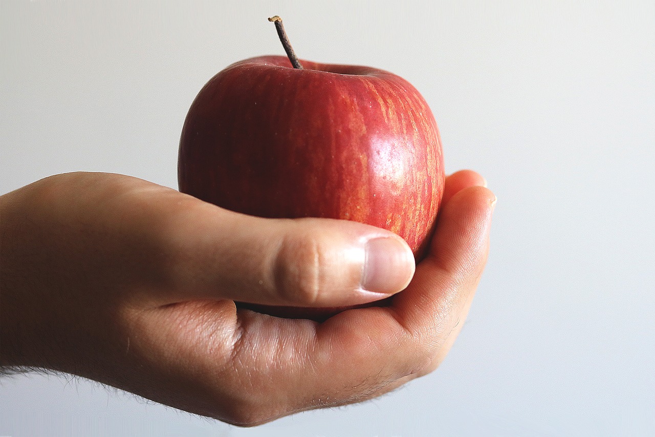 hand  apple  holding free photo