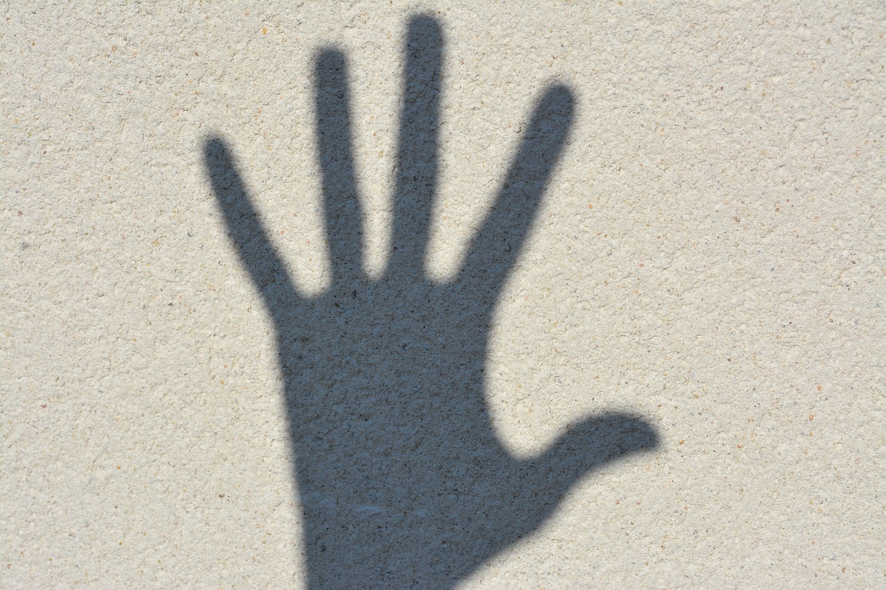 hand  shadow  stop free photo