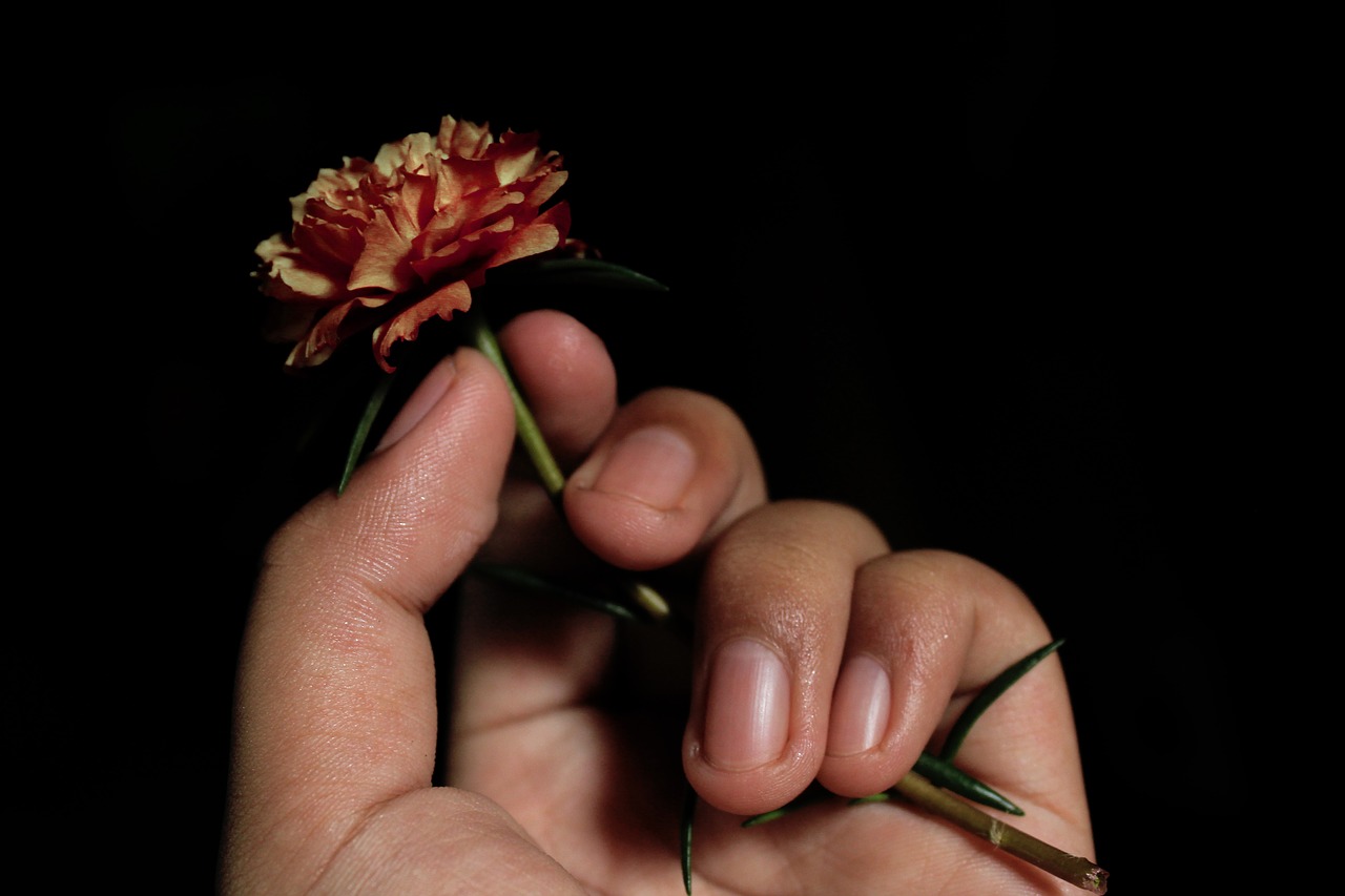hand  flowers  hold free photo