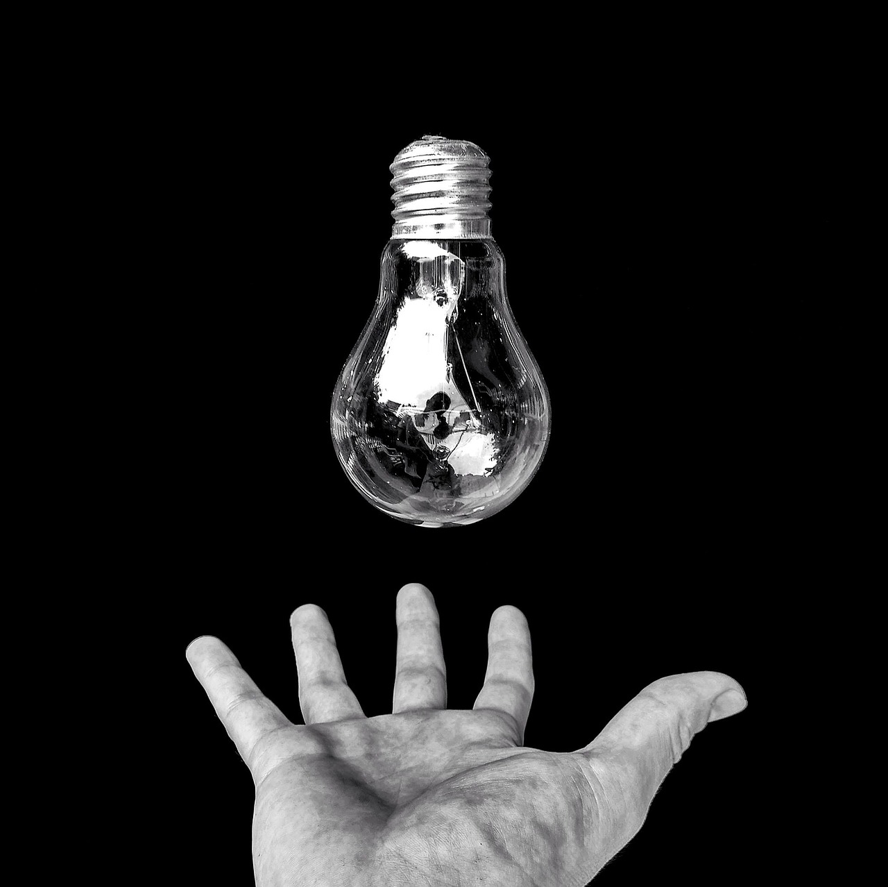 hand  light bulb  idea free photo